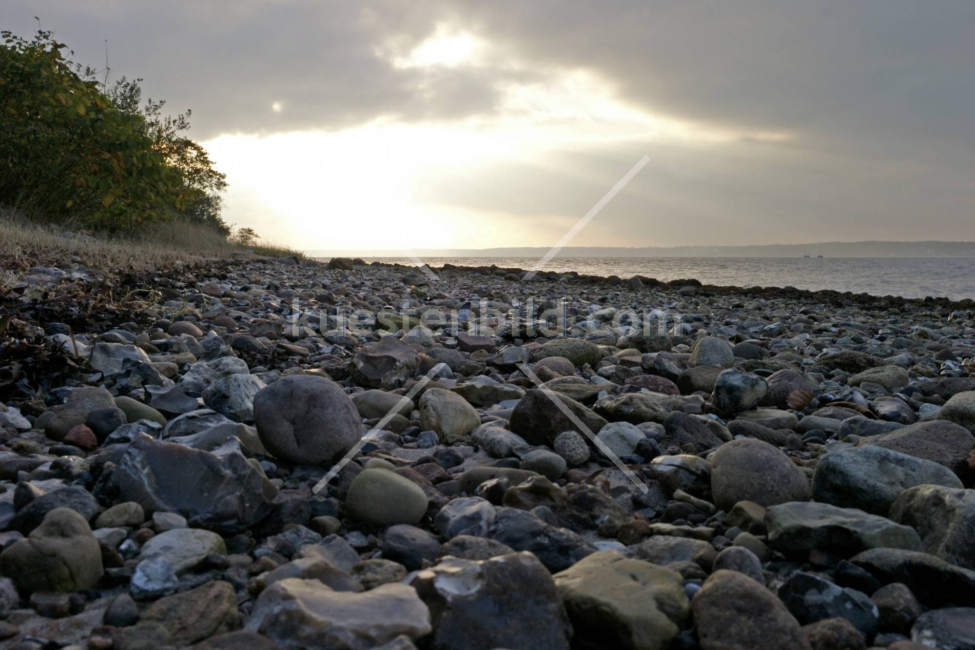 Förde, Steinstrand im Abendlicht