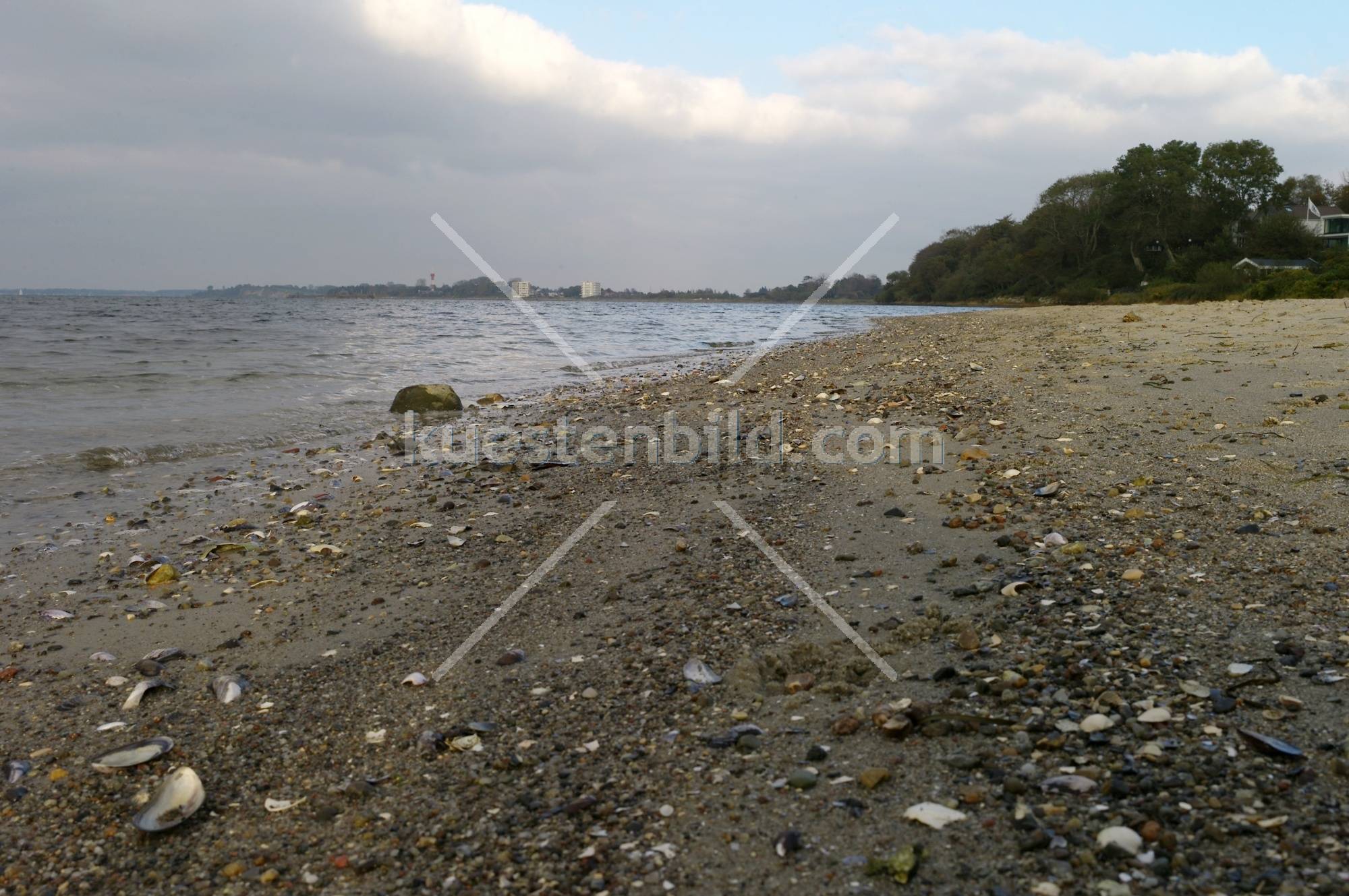 Förde, Sandstrand mit Muscheln