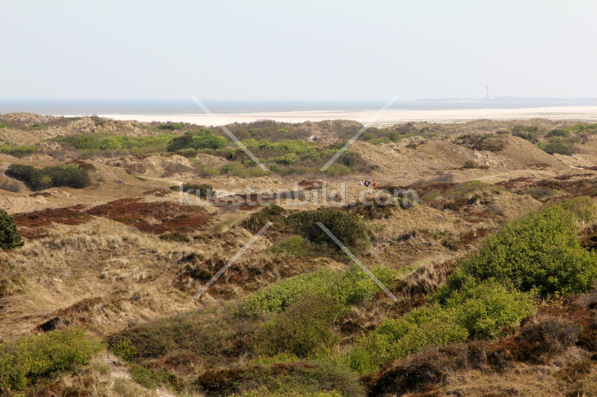 Dünenlandschaft 2