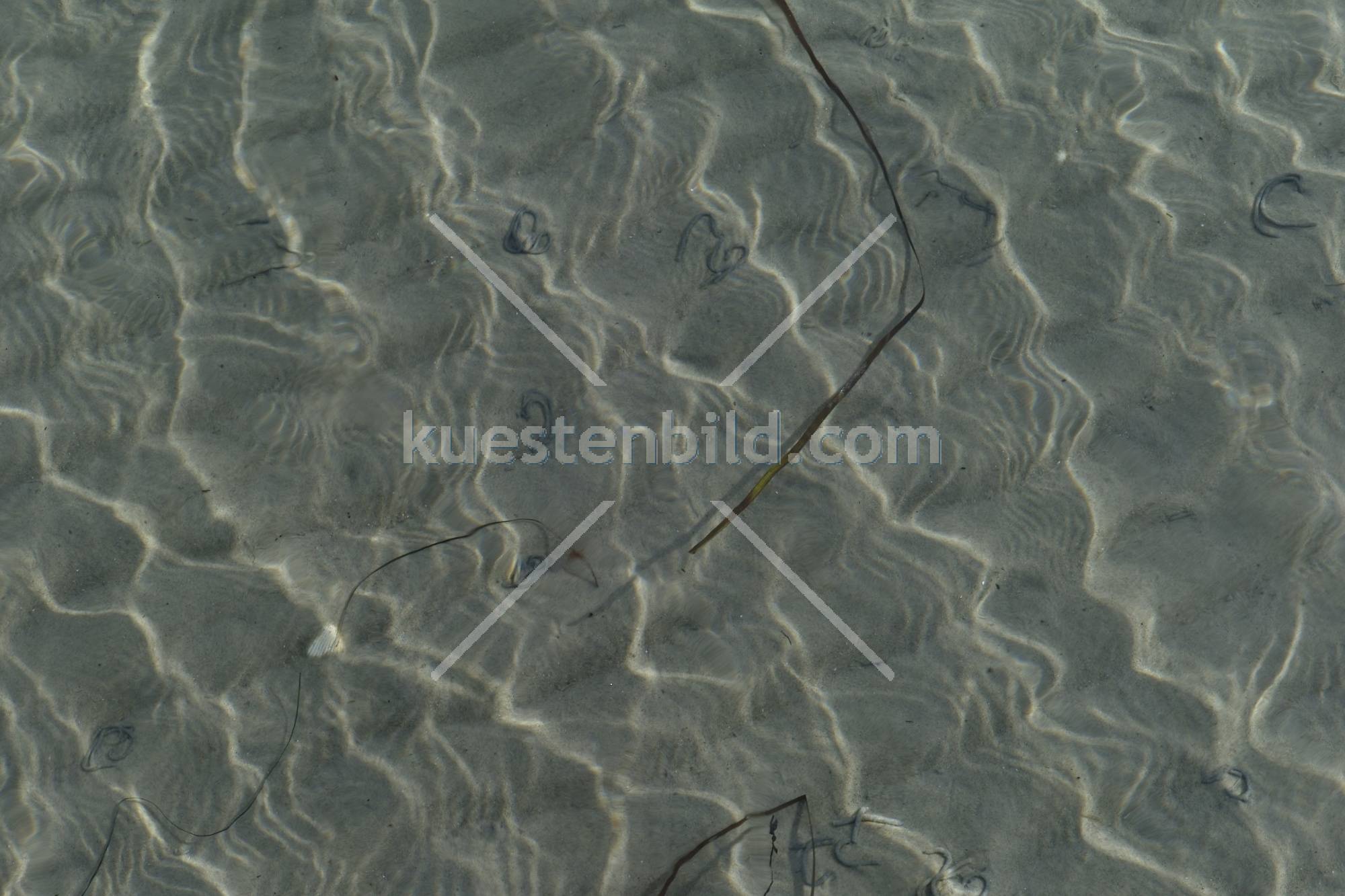 Wasserreflexionen