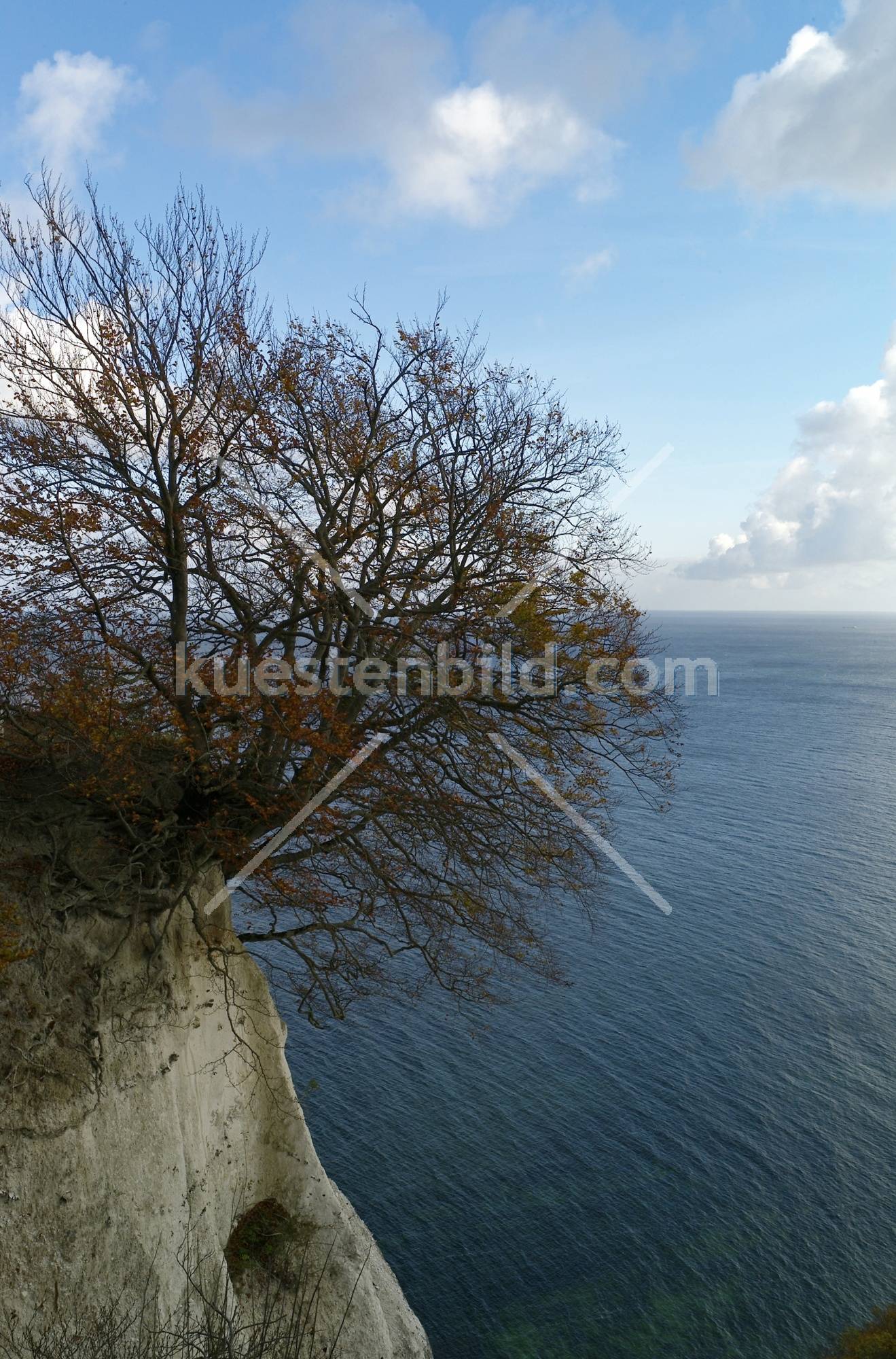 Kreideküste Rügen 1