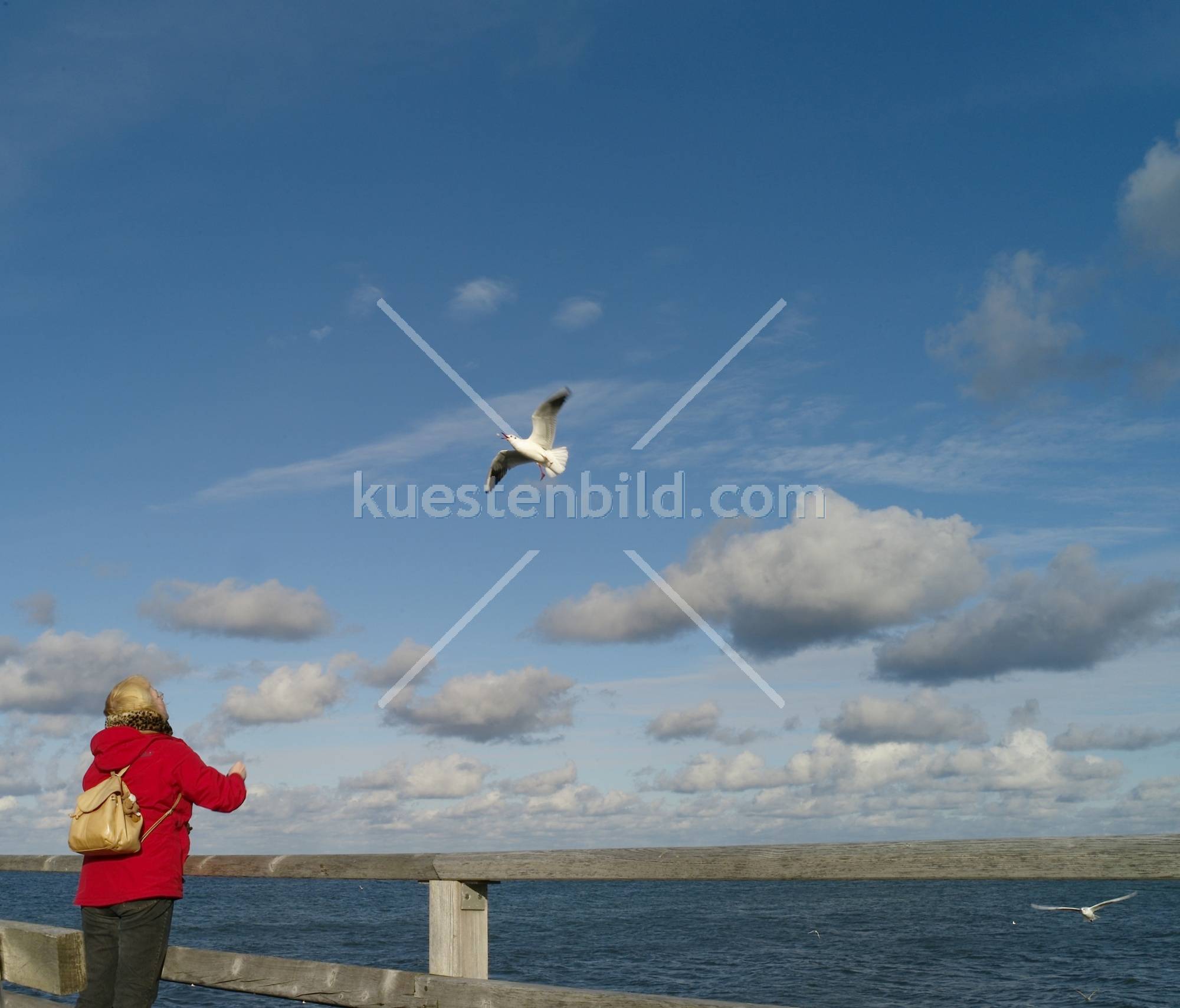 Frau mit Möwe