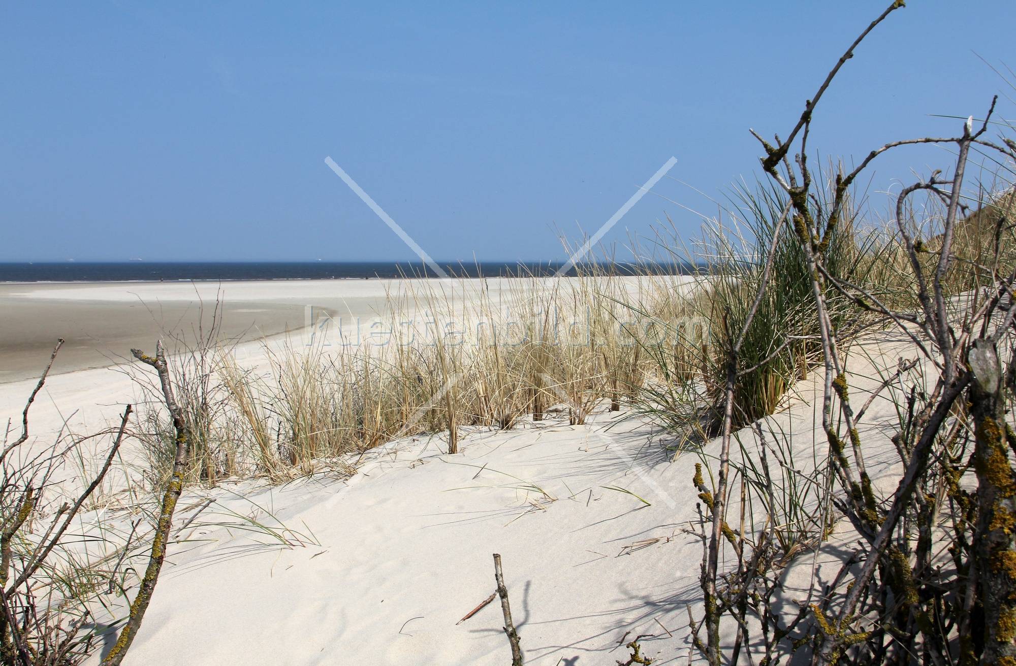 Strandblick 3