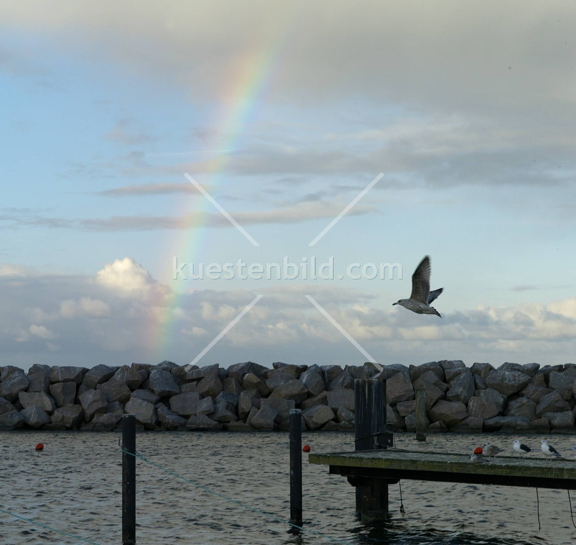 Glowe, Möwe vor Regenbogen