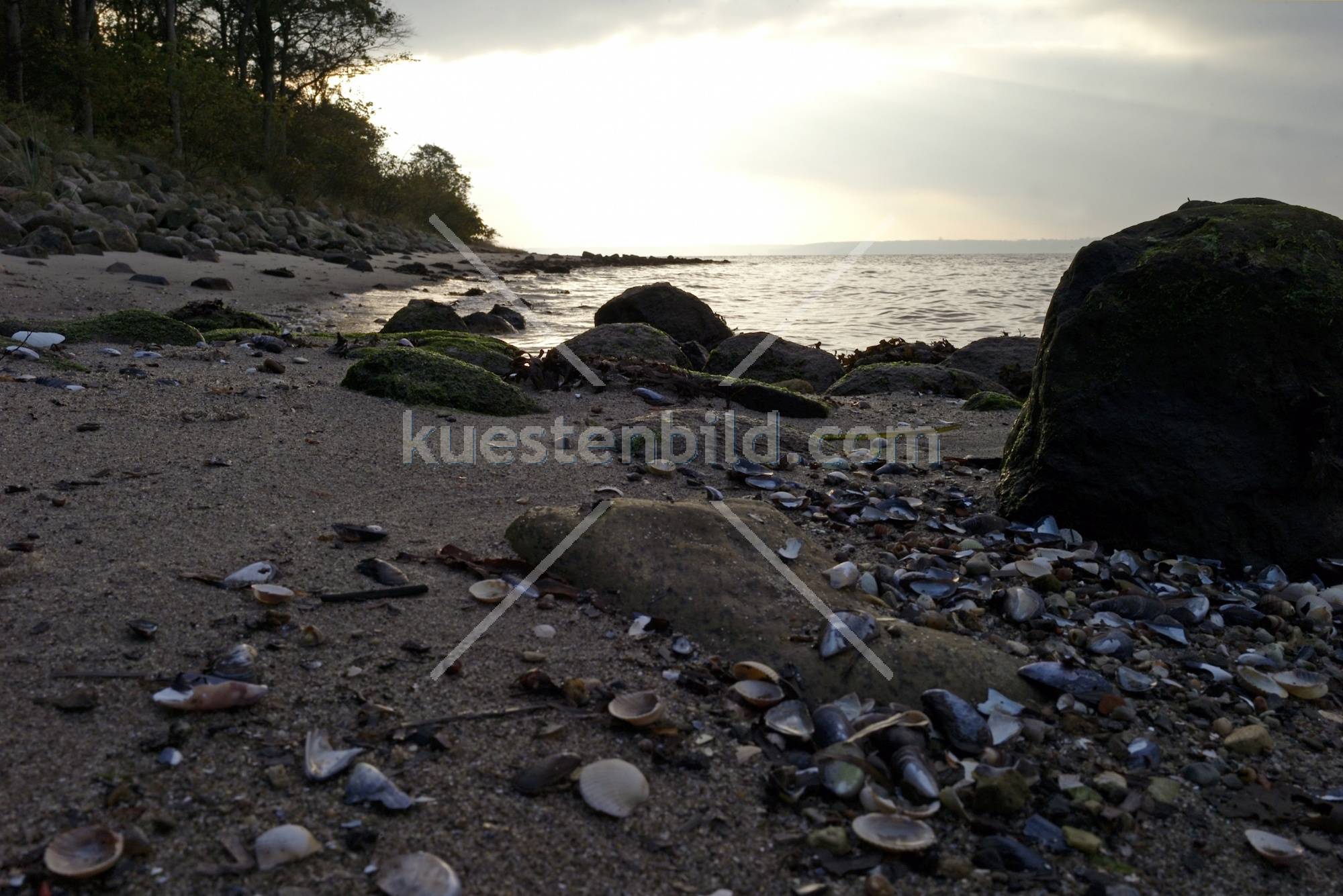 Förde Muschelstrand im Abendlicht