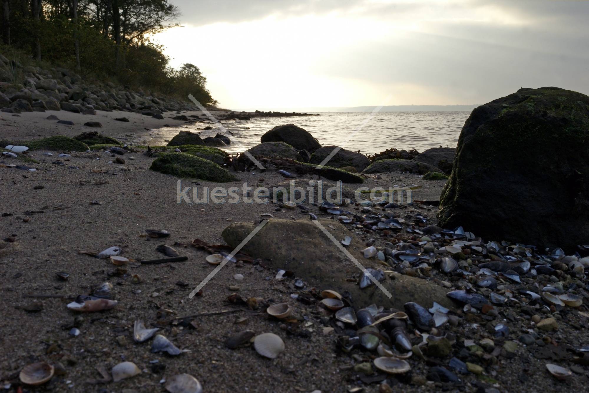 Frde Muschelstrand im Abendlicht