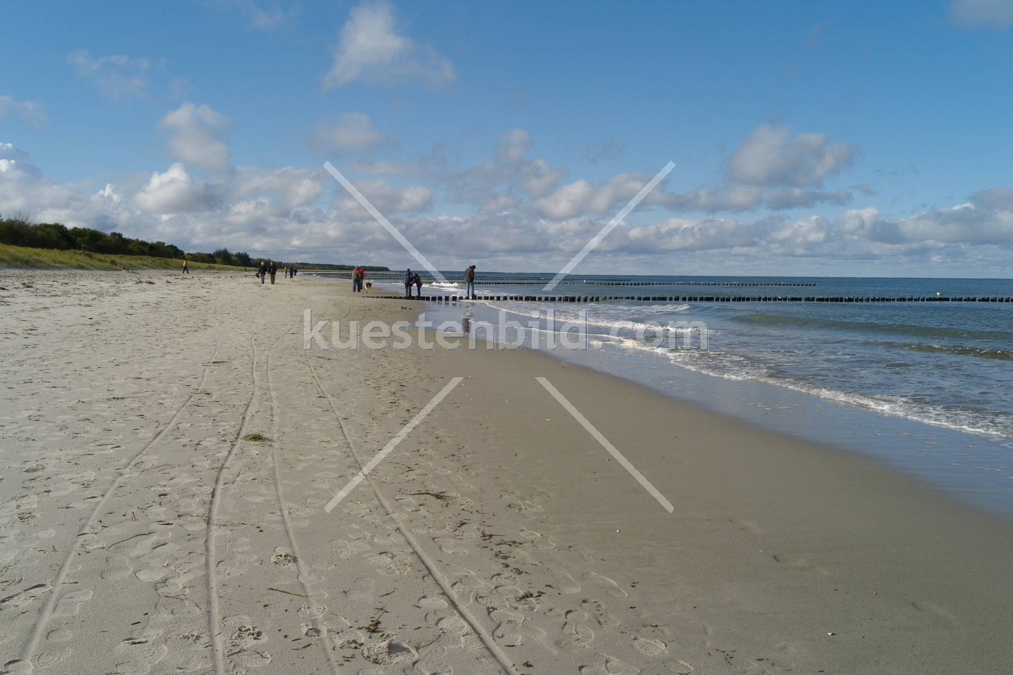 Strand auf dem Darß