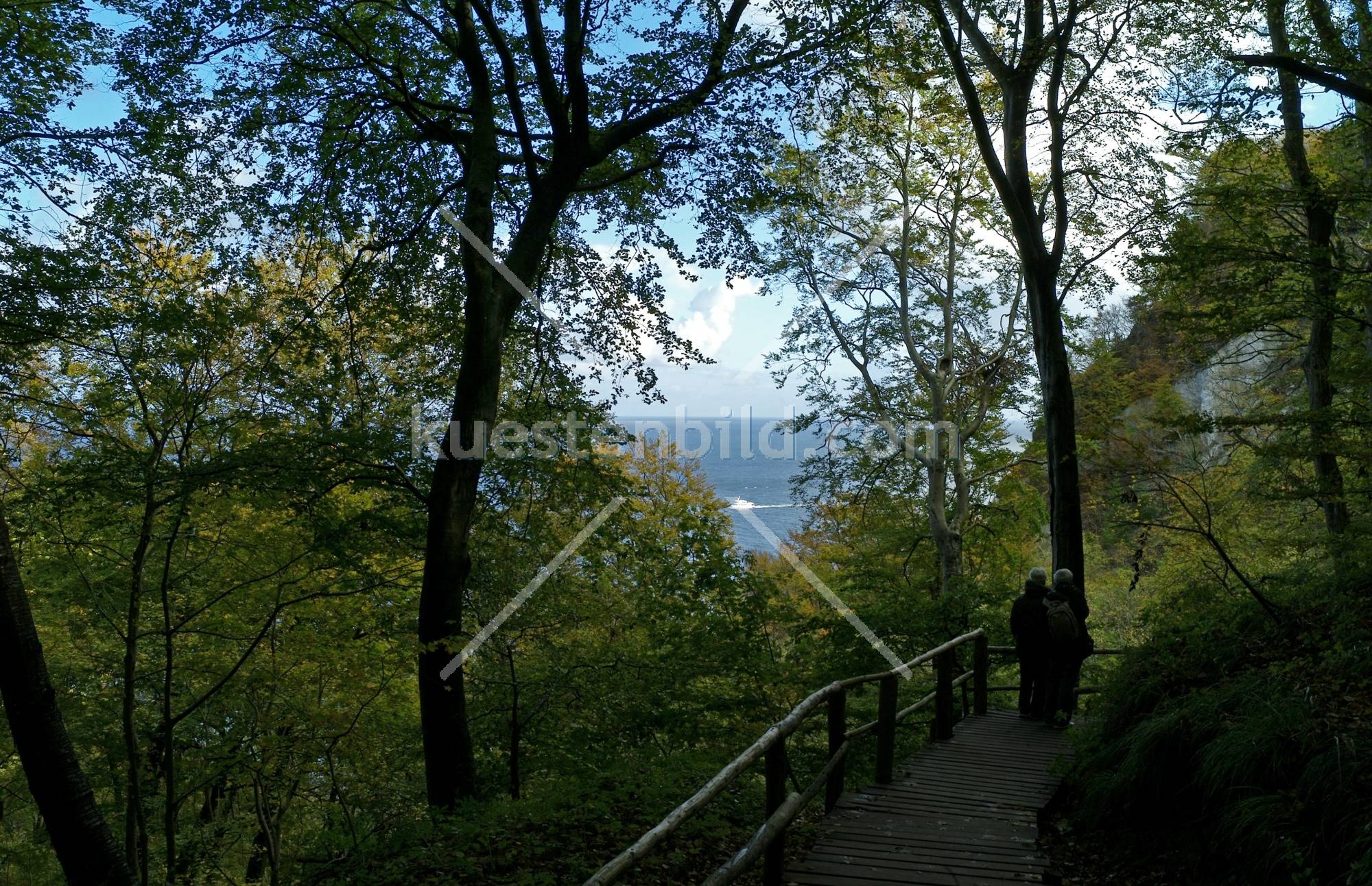 Kreidekste, am Knigsstuhl - auf dem Weg zum Strand