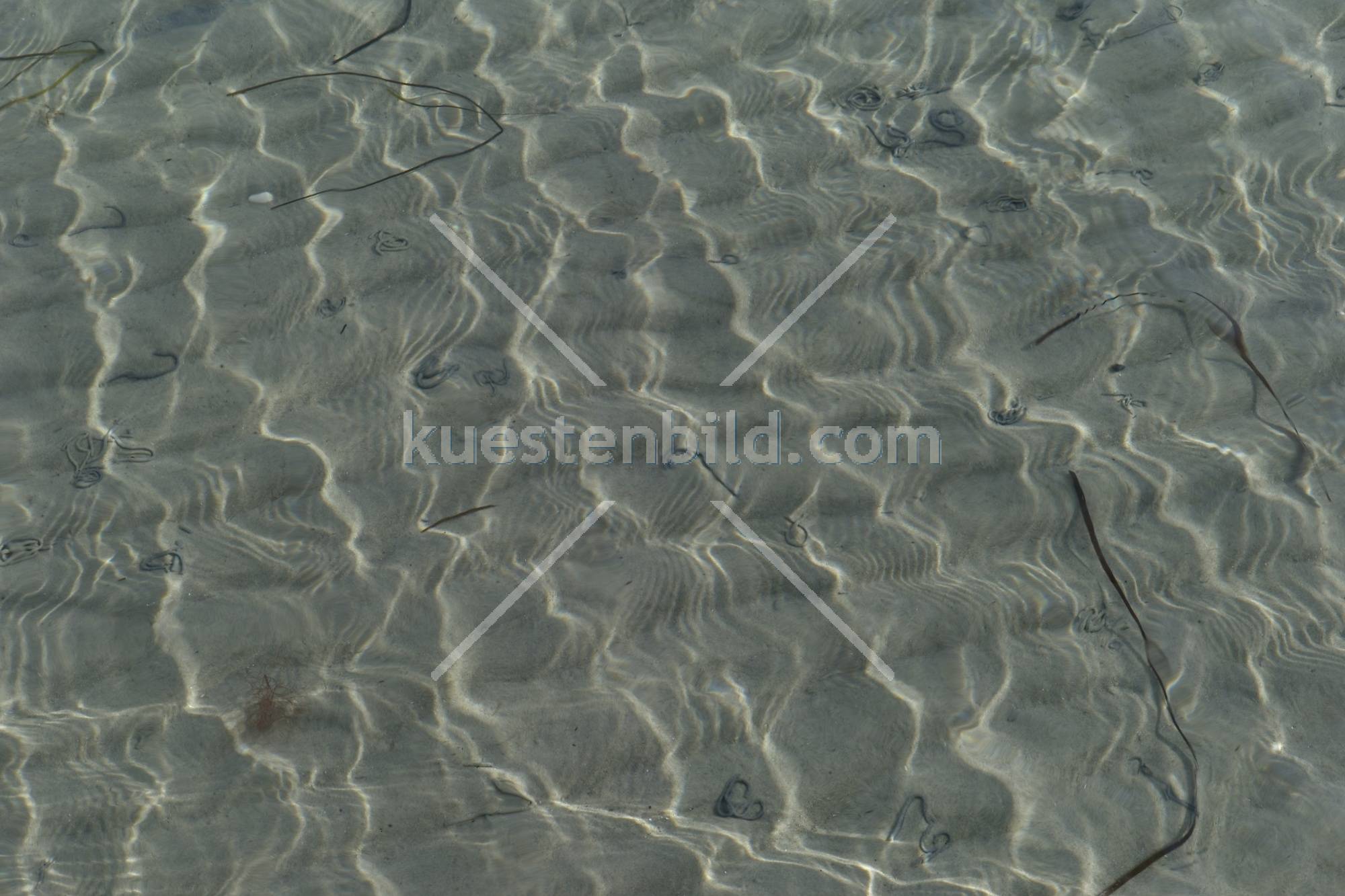 Wasserreflexionen
