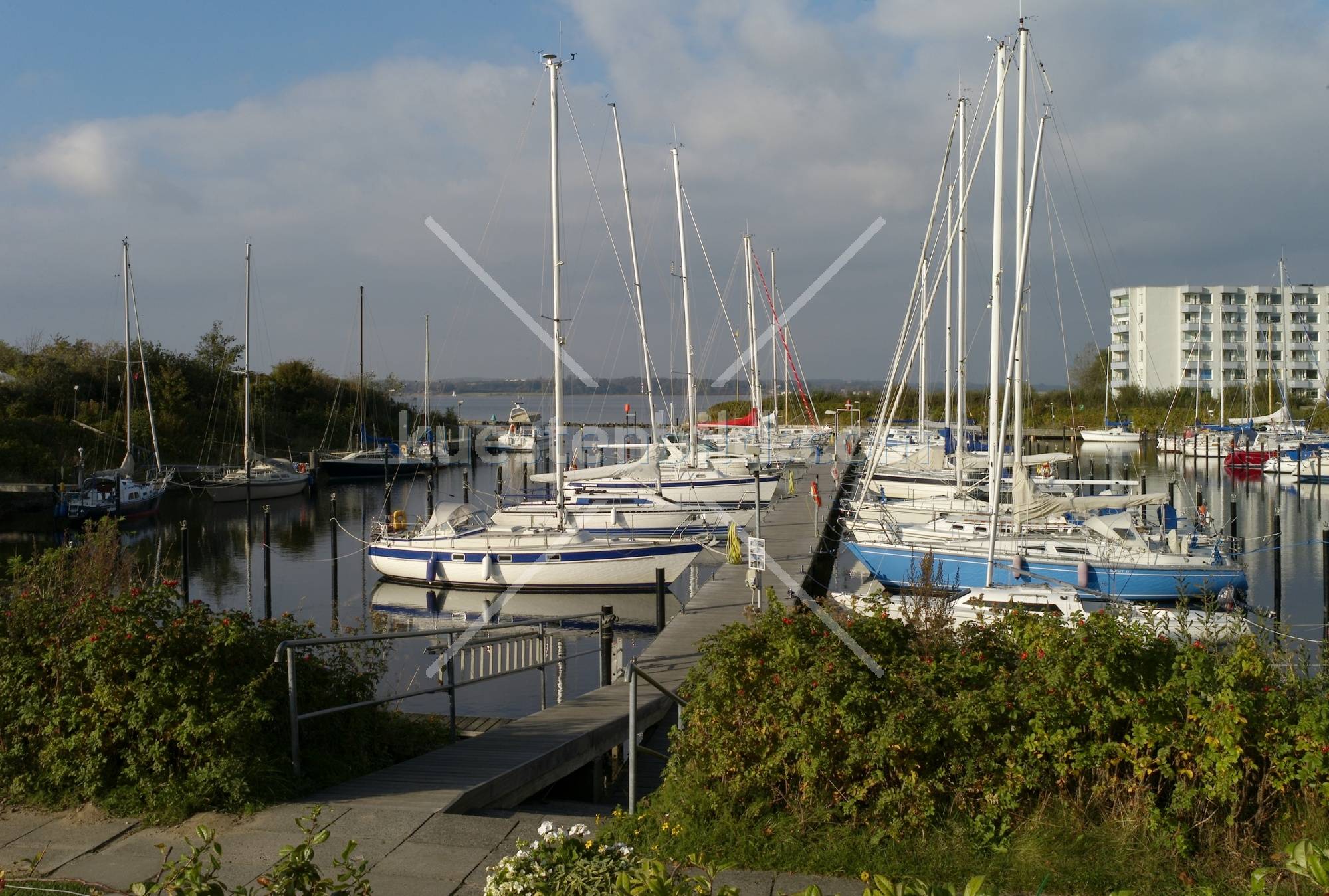 Holnis, Hafen Schausende