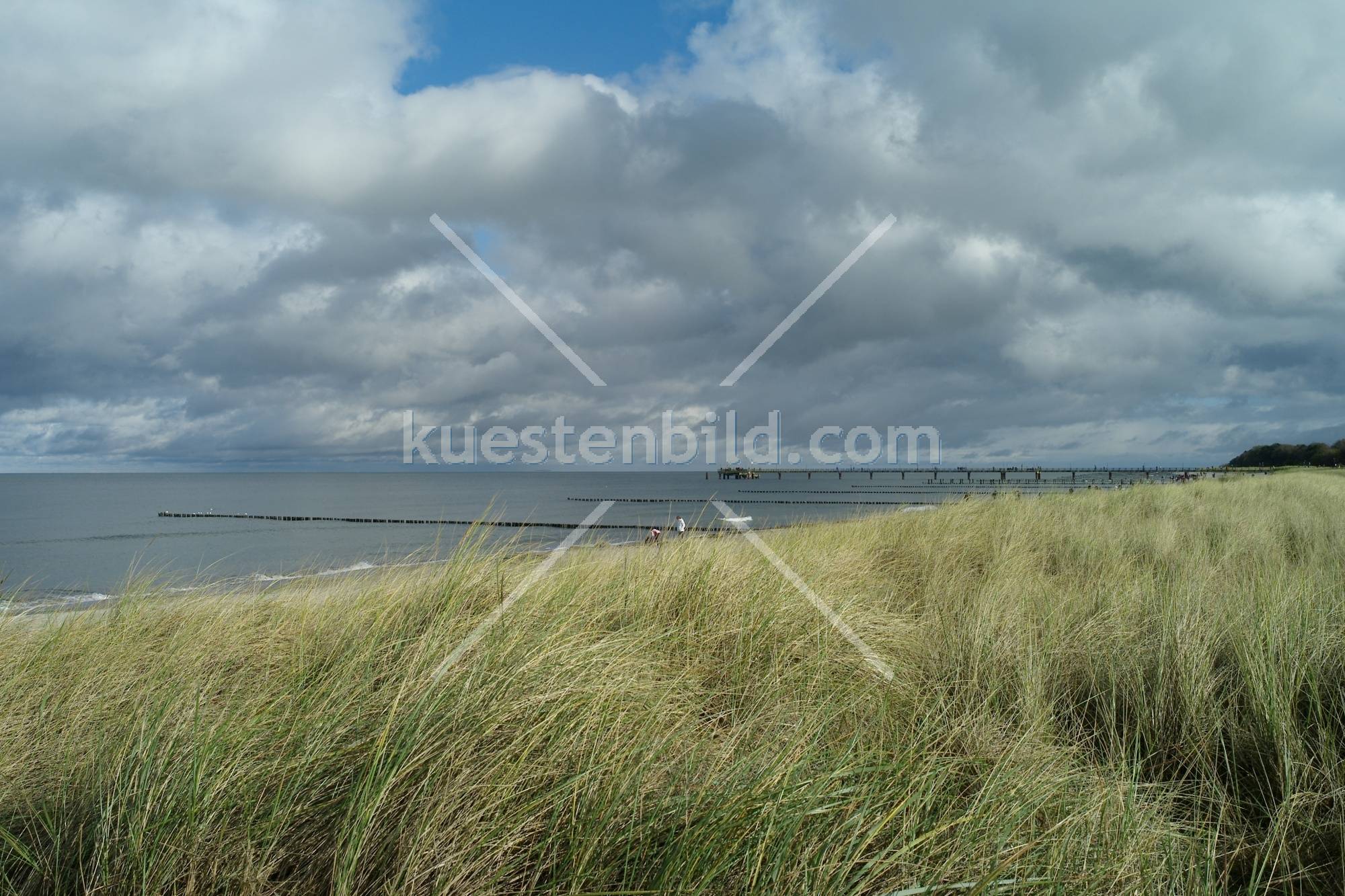 Ostsee, Strand auf dem Dar