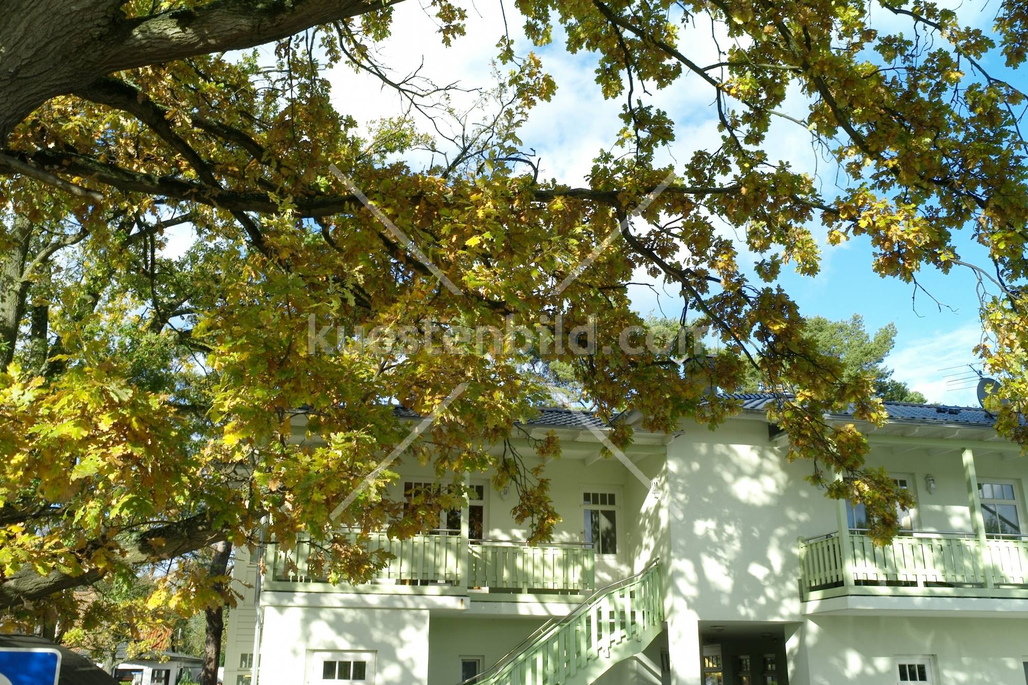 Herbstlaub vor Villa in Prerow