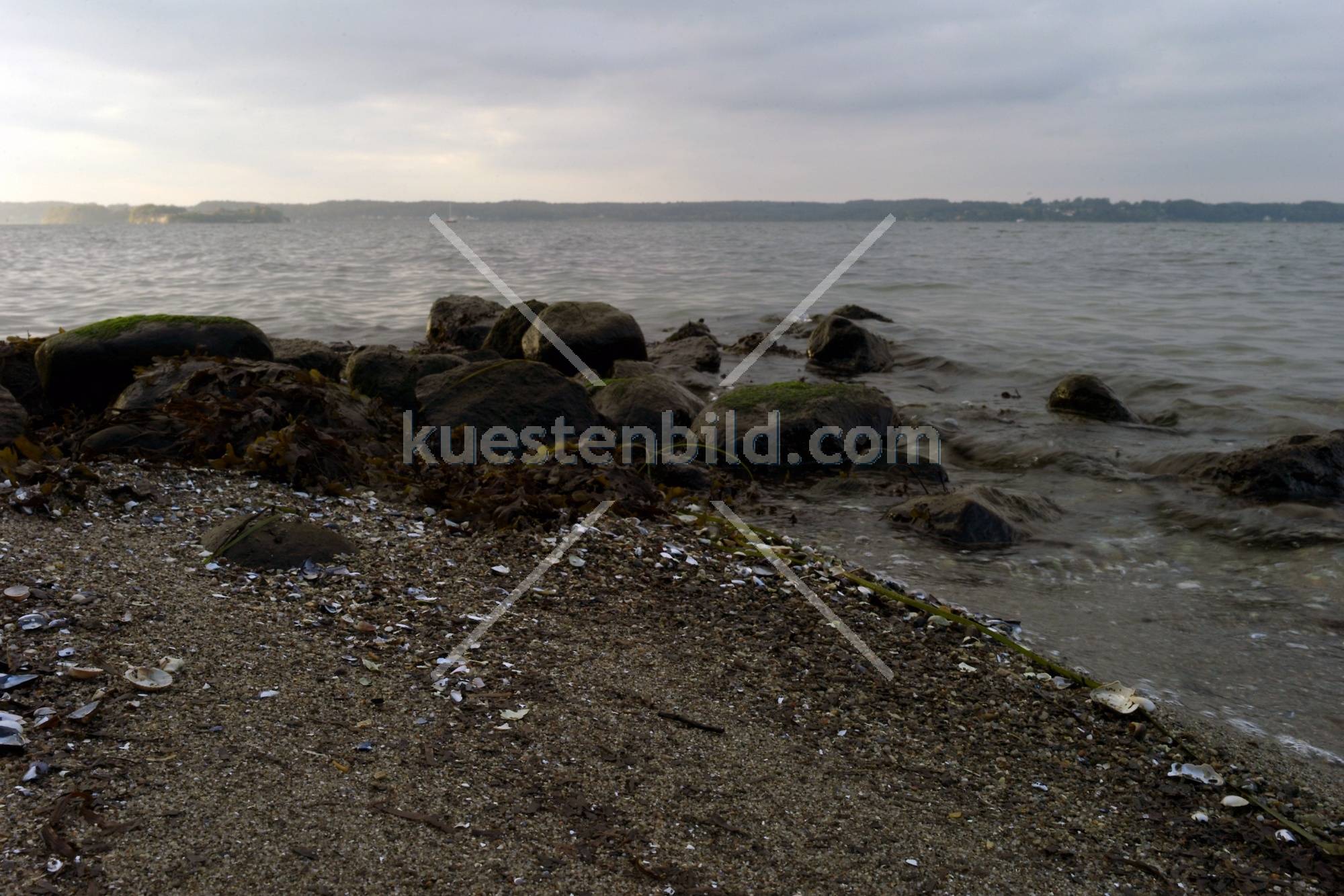 Förde, Muschelstrand mit Felsen