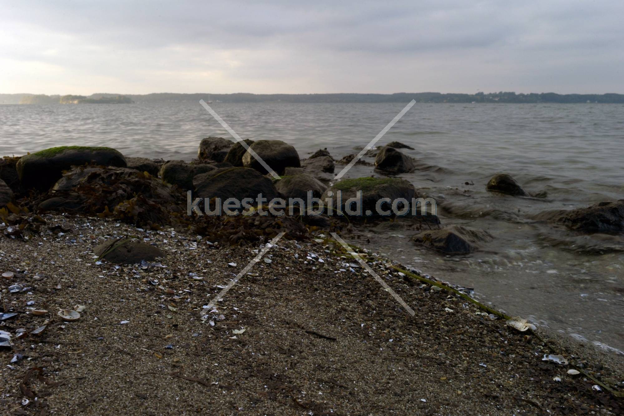 Frde, Muschelstrand mit Felsen 