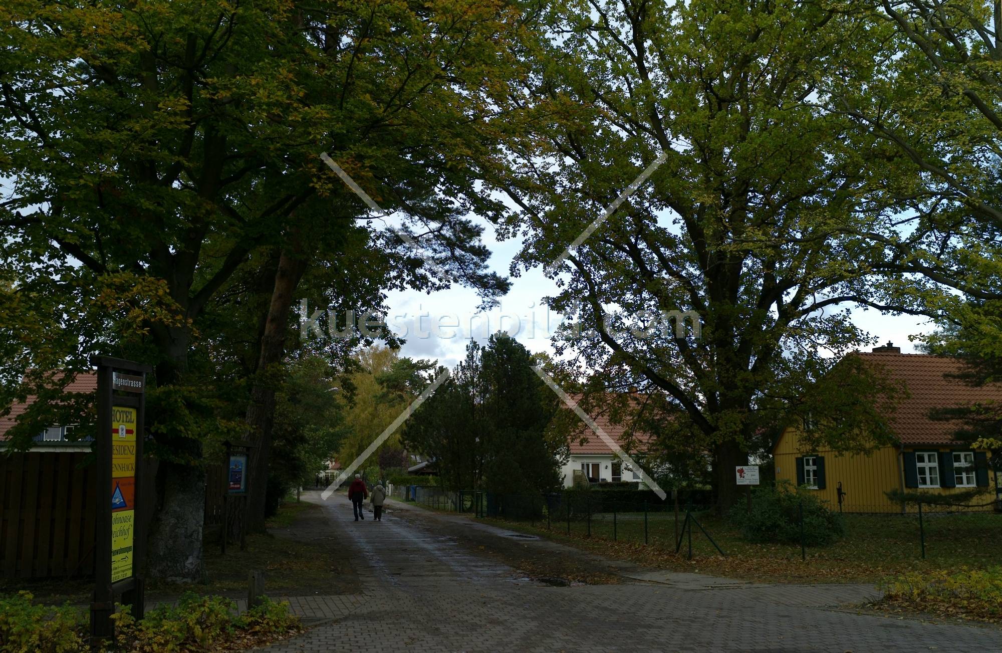 Herbstlicher Weg in Prerow