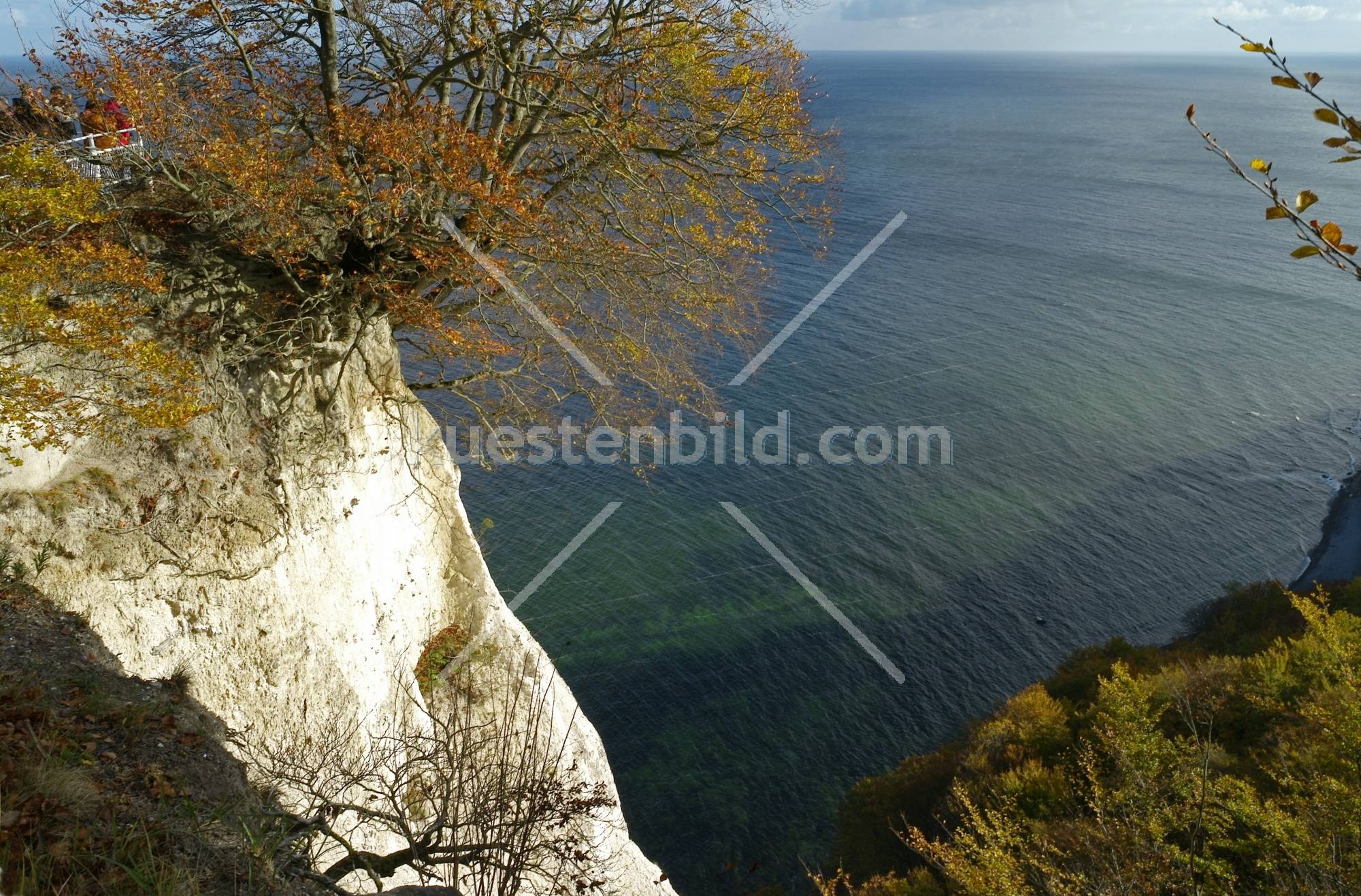 Blick vom Knigsstuhl auf die Ostsee