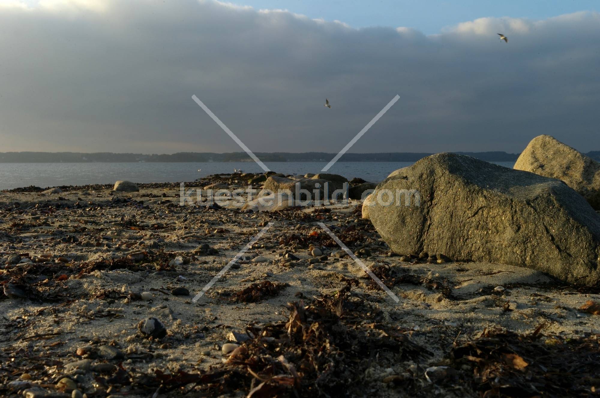 Frde Felsstrand im Abendlicht