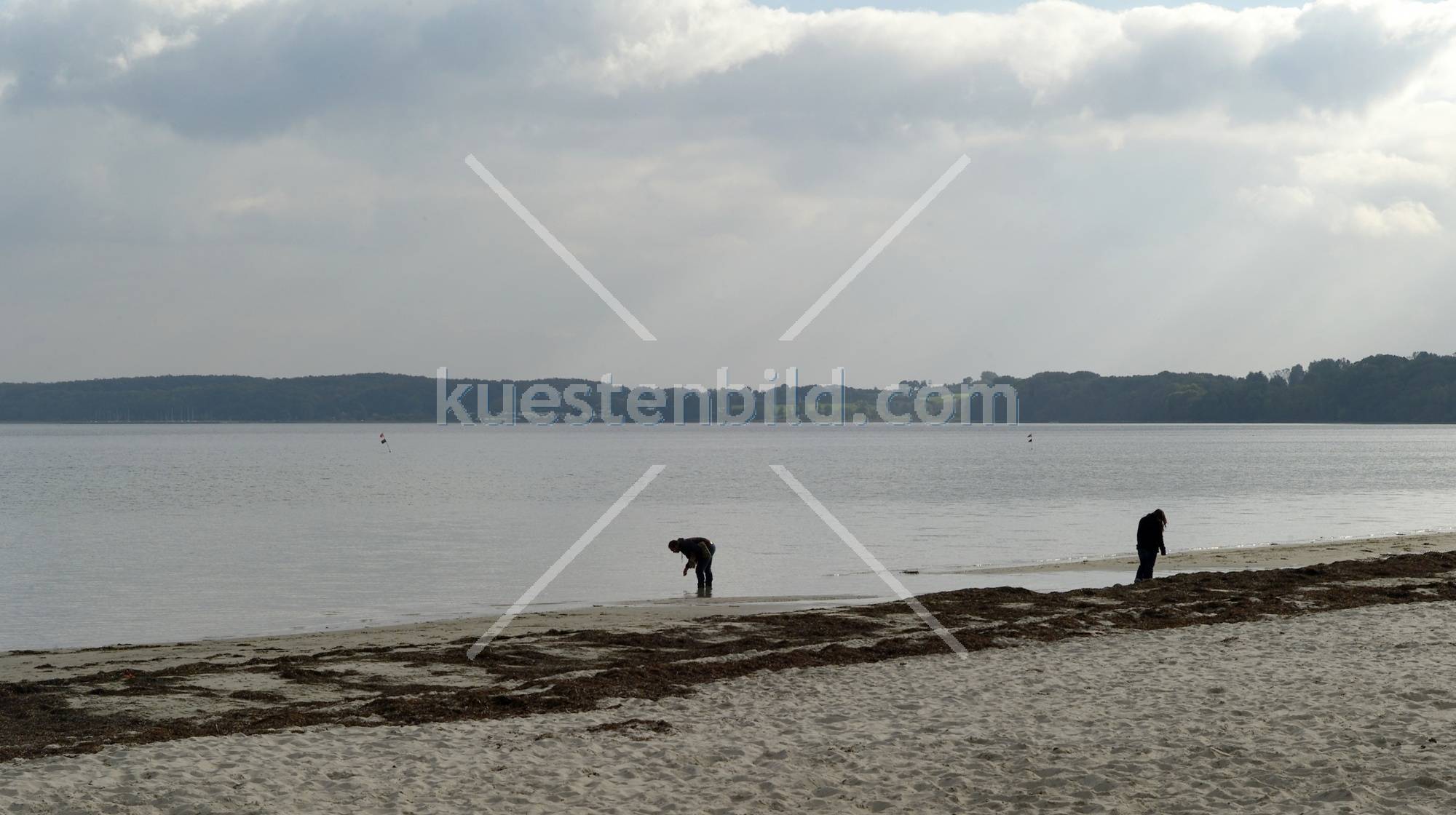 Holnis, Muschelsucher am Strand