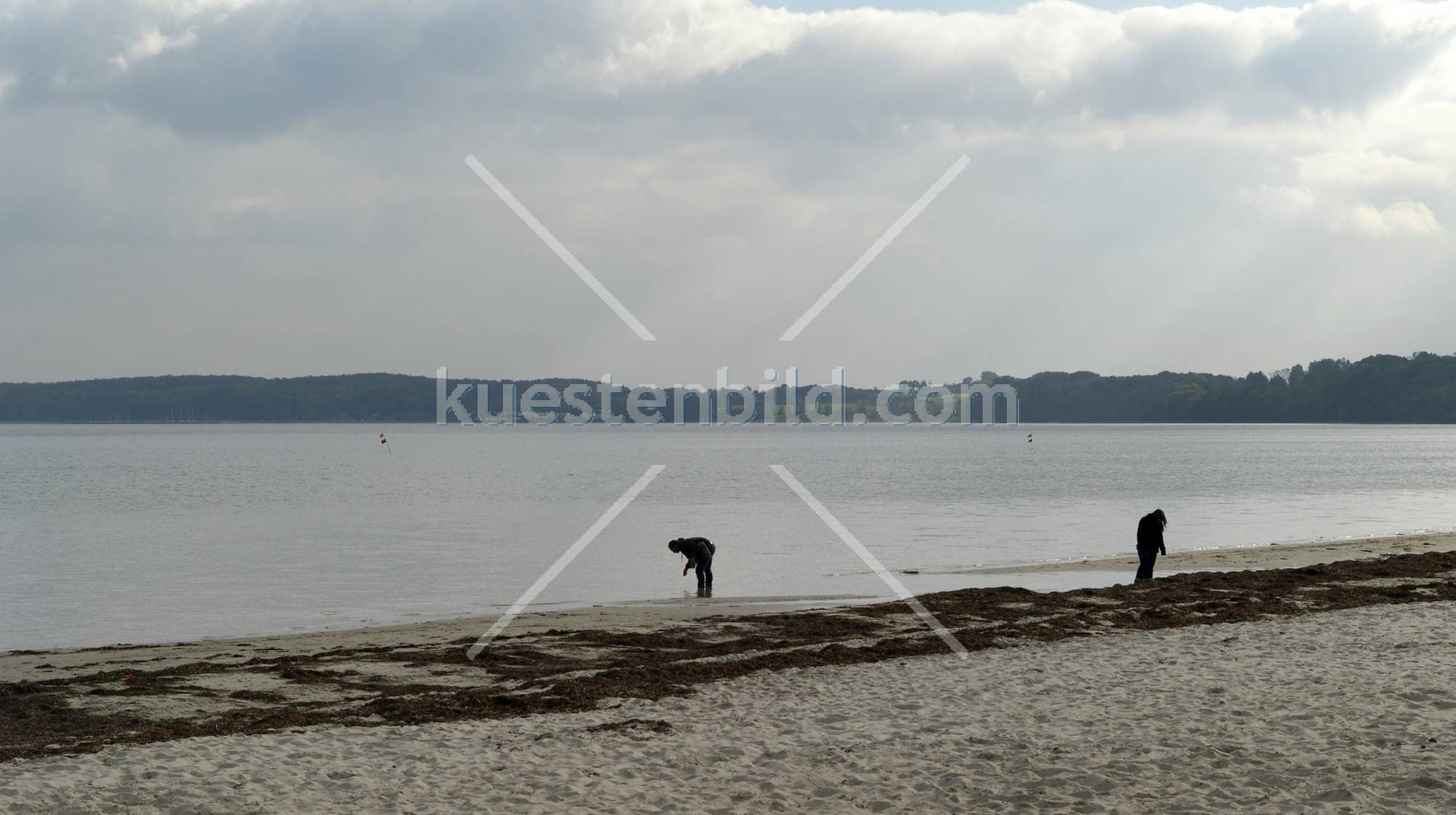 Holnis, Muschelsucher am Strand