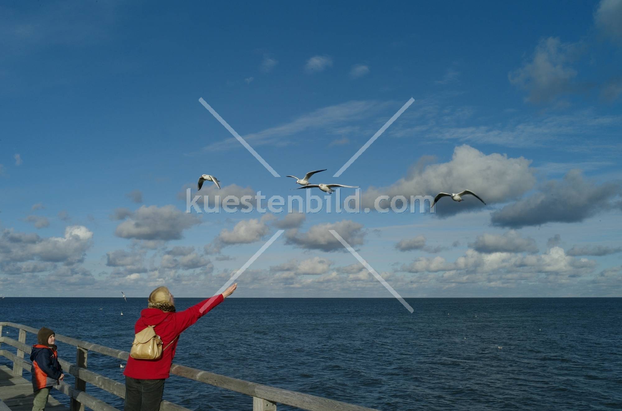 Möwenfütterung auf der Seebrücke Prerow