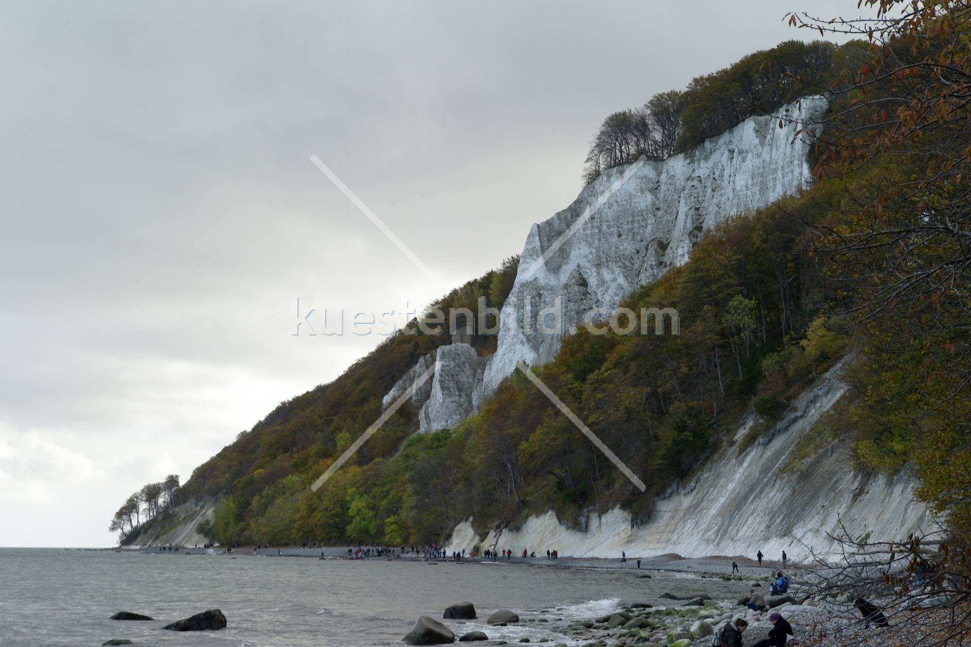 Kreideküste im Herbst
