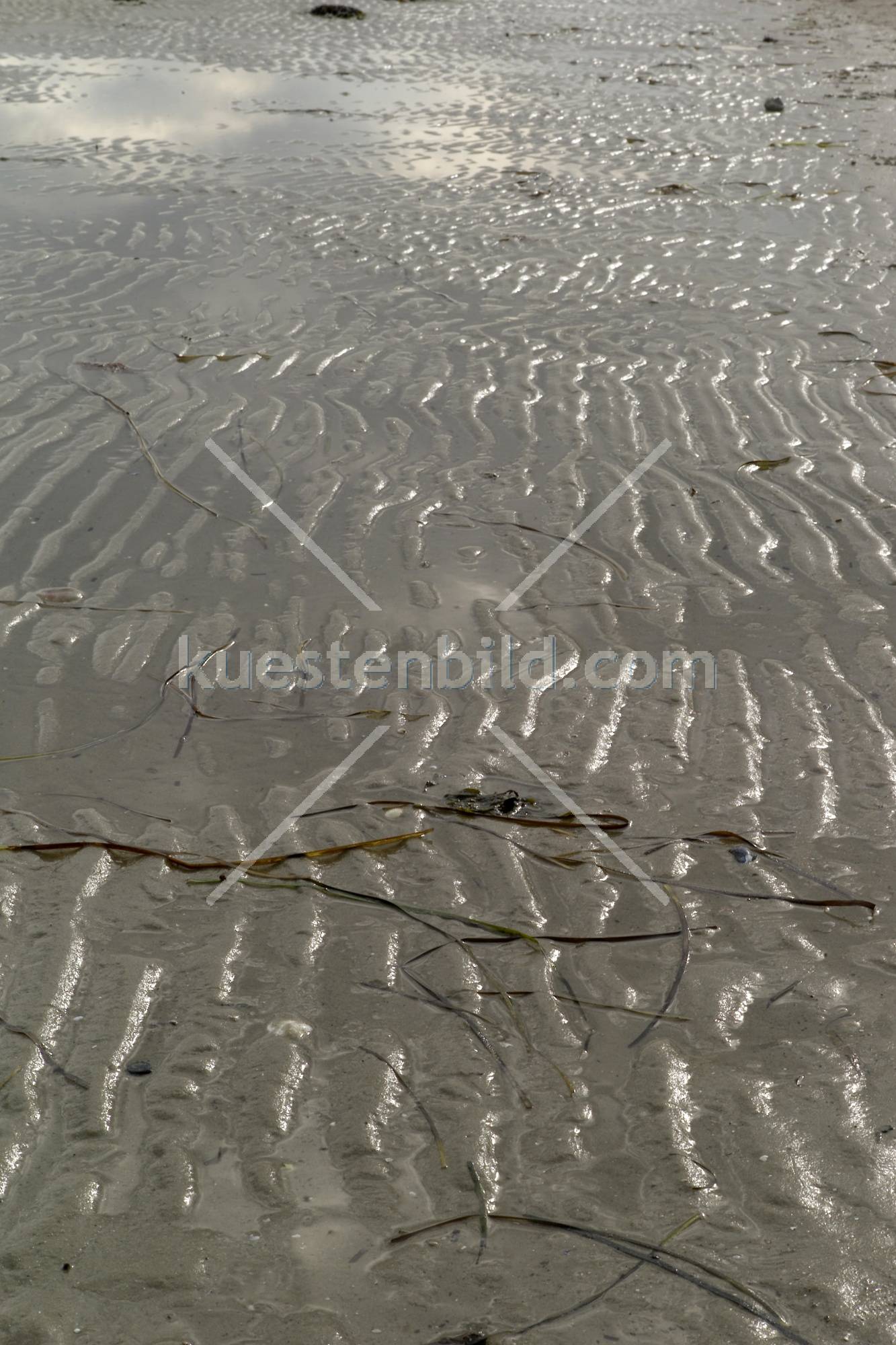 Strandstrukturen