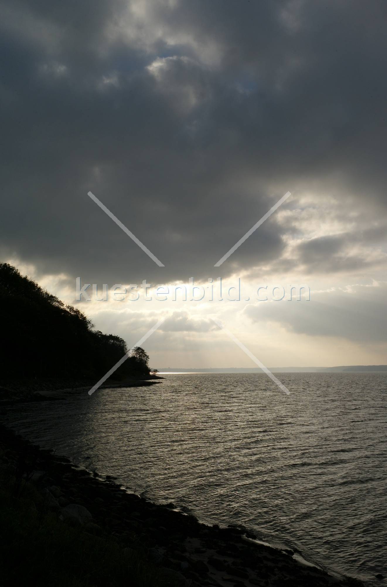 Förde, Ufer im Gegenlicht