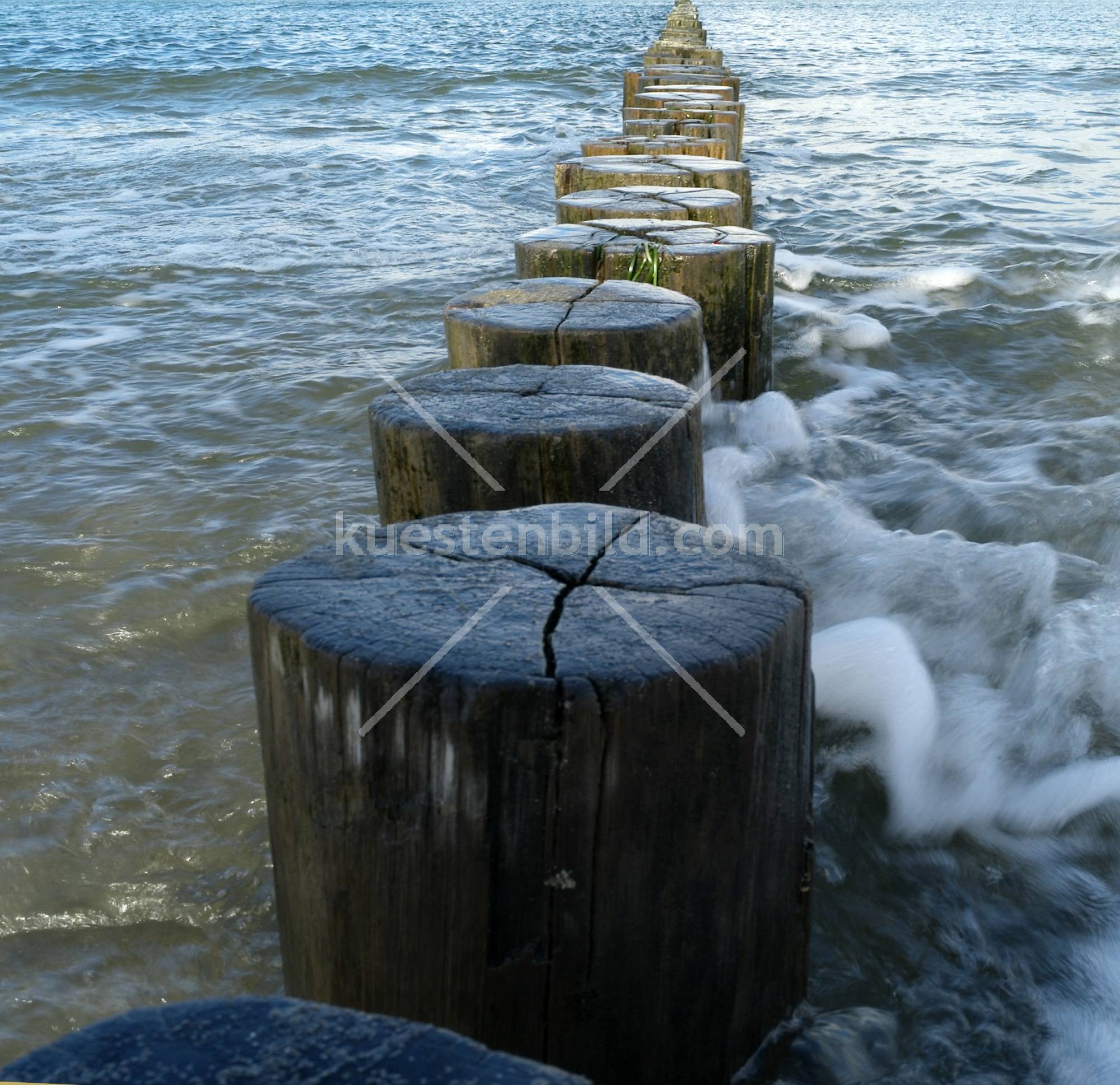 Dalben am Strand