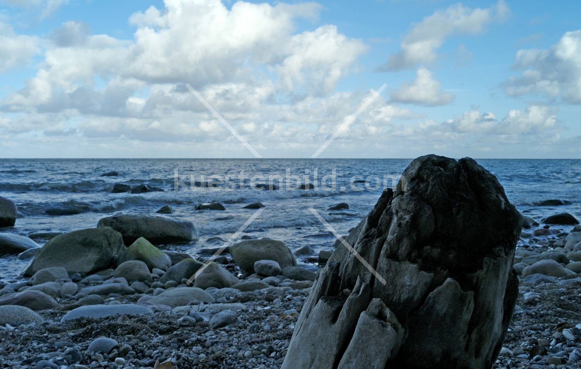 Kreideküste, Baumstumpf am Kiesstrand