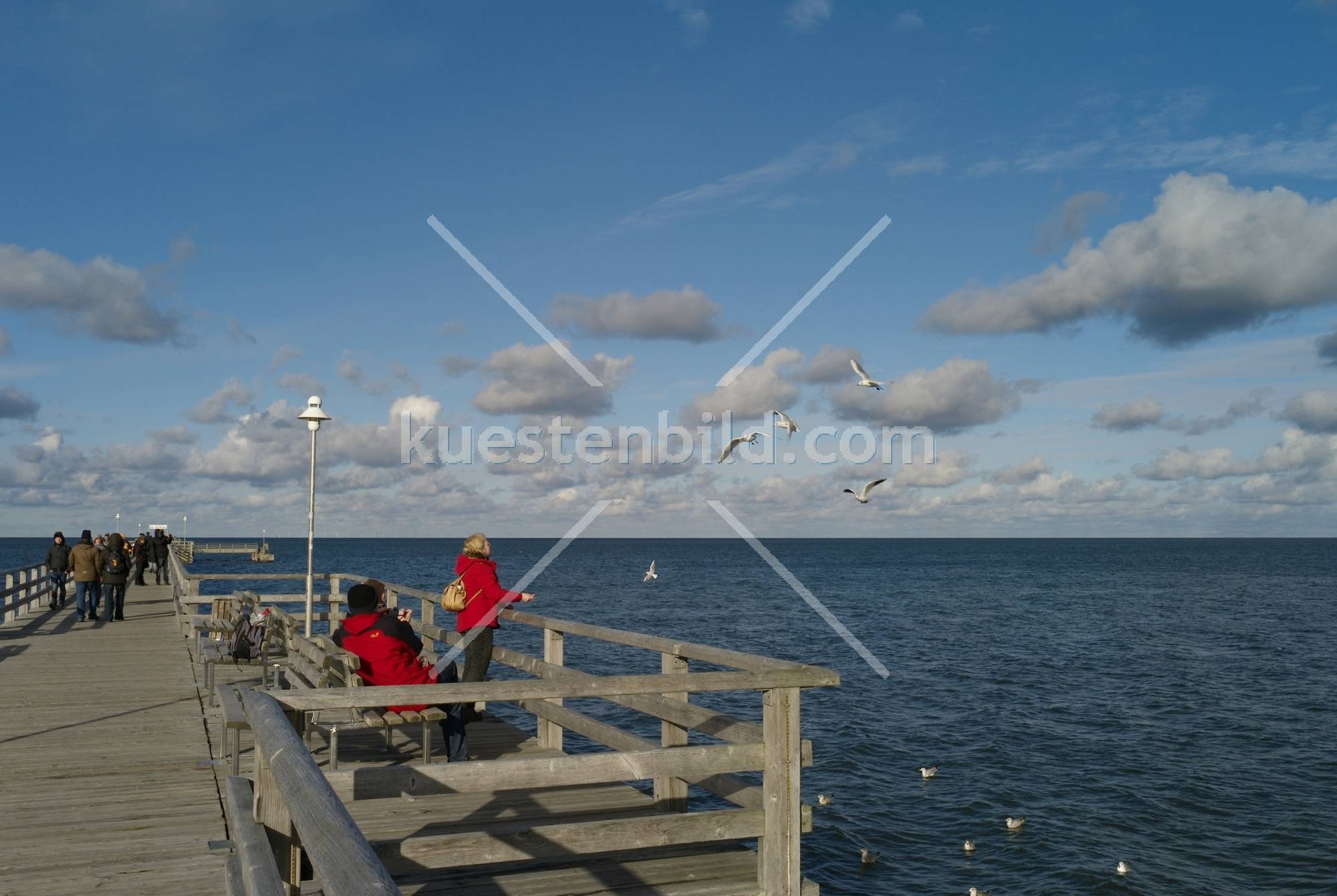 Möwenfütterung auf der Seebrücke Prerow
