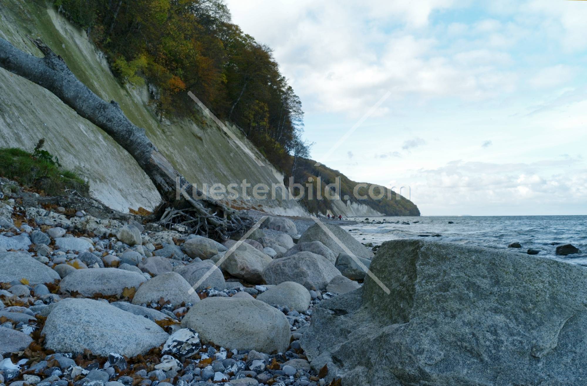 Kreideküste Rügen