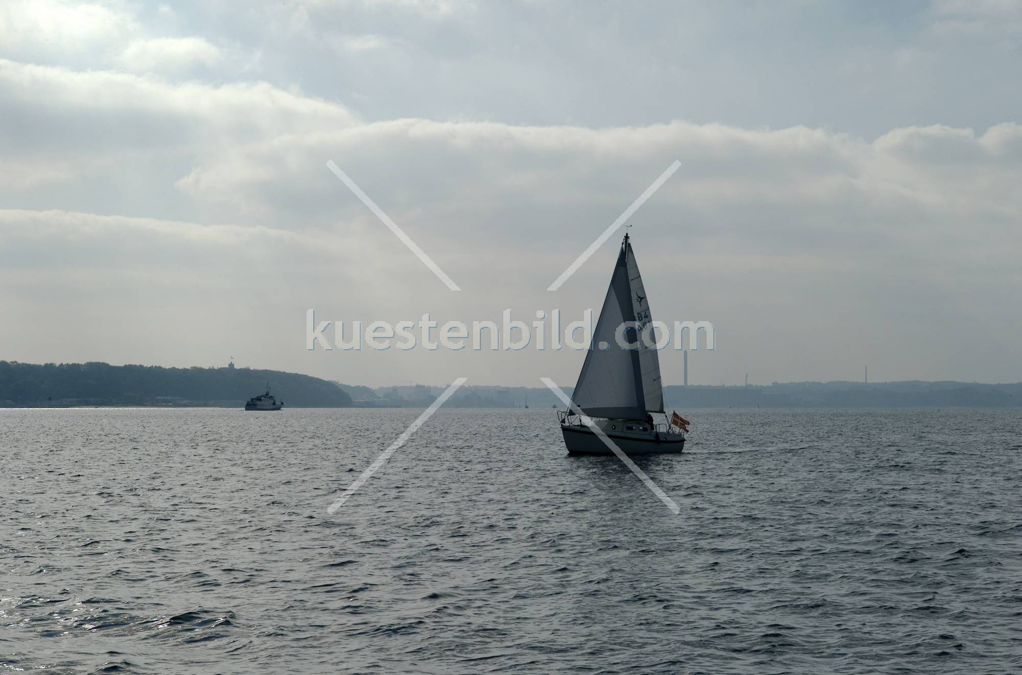 Segler auf der Förde