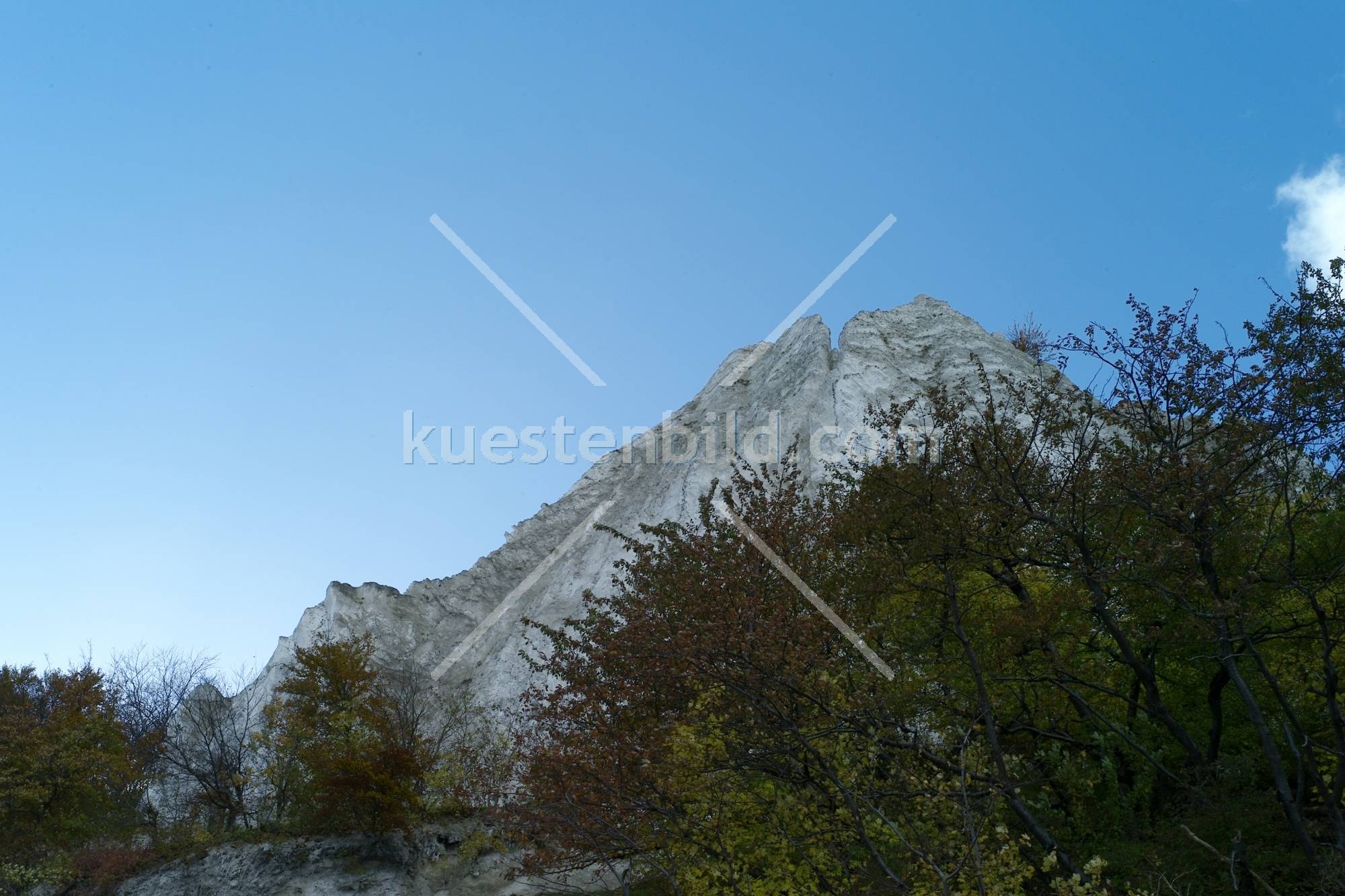 Kreidefelsen mit Herbstwald