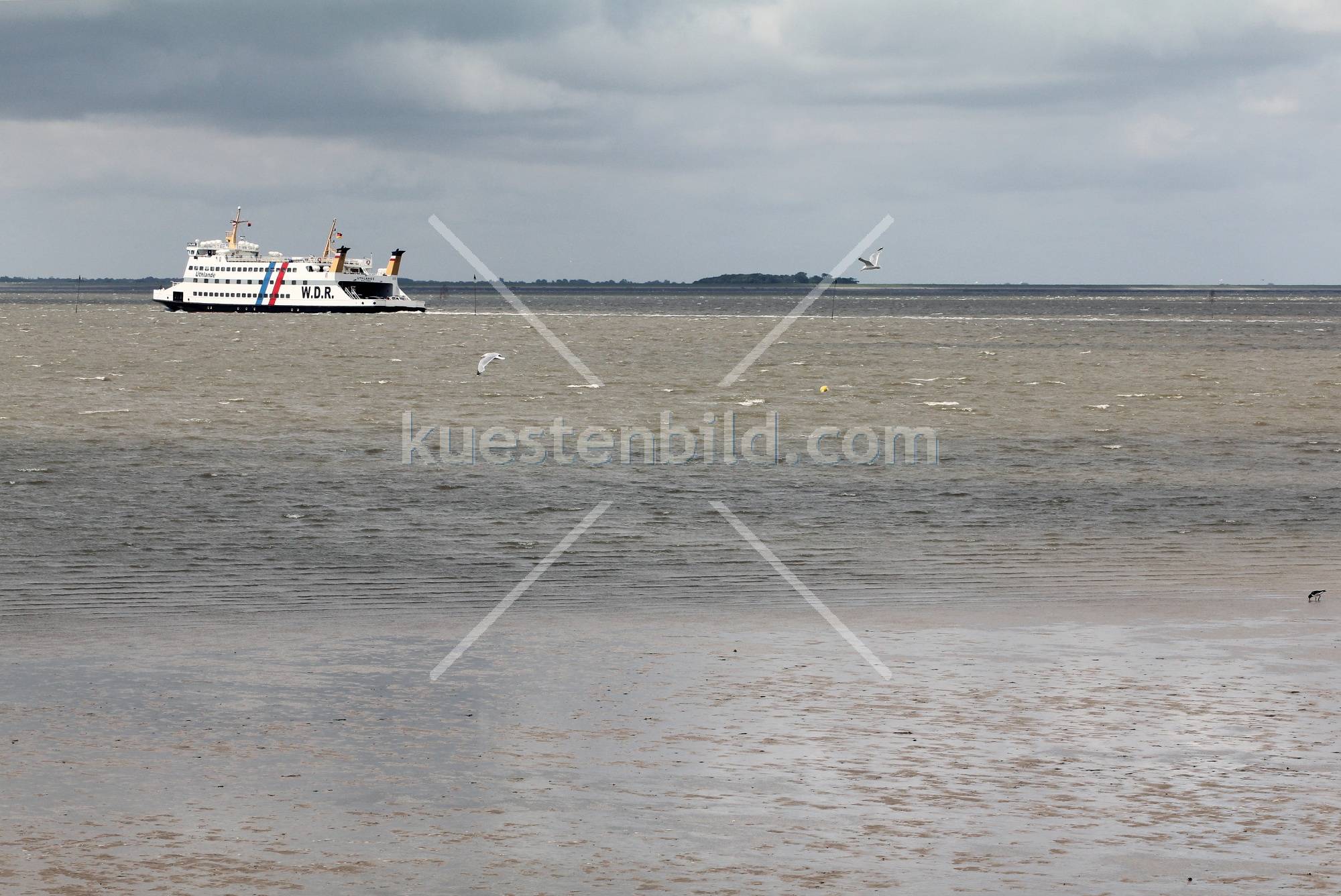 Fhre im Wattenmeer