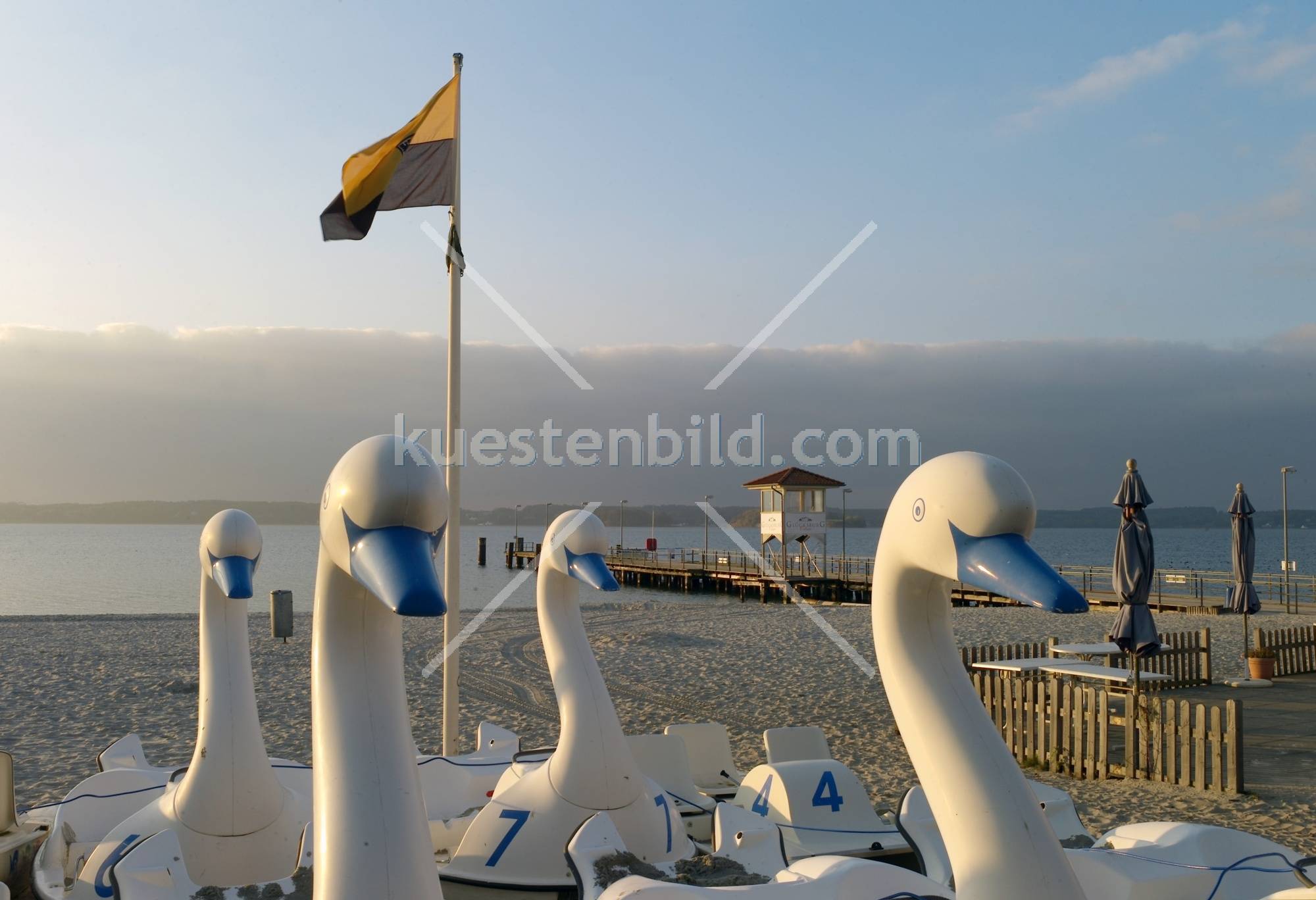 Glcksburg, die Schwne erobern den Strand