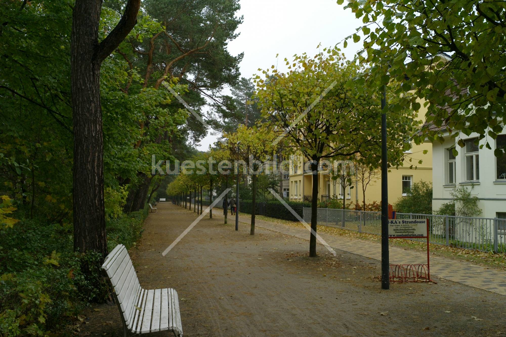 Herbstliche Promenade in Ahlbeck