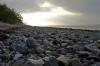 flensburger frde, steinstrand, abendlicht, 