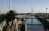 schlei, maasholm, skulptur fischer, boote, hafen, ostsee, 