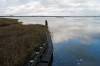 schilf, ruhiges wasser, steg, bodden, dar, 