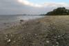 frde, ostsee, strand, muscheln, menschenleer, sand, 