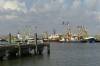 trawler, fischfang, flotte, schiffe, hafen, niederlande, 