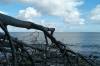 weie wolken, blauer himmel, fhre am hrizont, still, ostsee, umgestrzt, buche, 