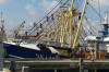 kai, fangschiff, trawler, schiff, fischerei, hafen, harlingen, 