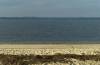 frde, ostsee, strand, wei, blaues wasser, seegras, 