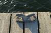 detail, bootsklampe, steg, hafen, 