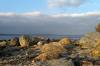  strand, ostsee, abendsonne, beleuchtet, granit, felsen, steine, flensburger frde, 