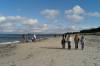 gruppe, seebrcke, kinder, herbst, menschen, dar, ostsee, 