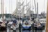 segelevent, traditionssegler, freizeit, ausflug , sportboote, kieler frde, segler, klassisch, kieler woche, 