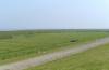 schafe, grn, marschen, weit, endlos, horizont, flach, deich, kste, holland, 
