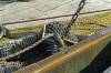 fischernetz, holzdeck, bordwand, detail, fischerei, niederlande, 